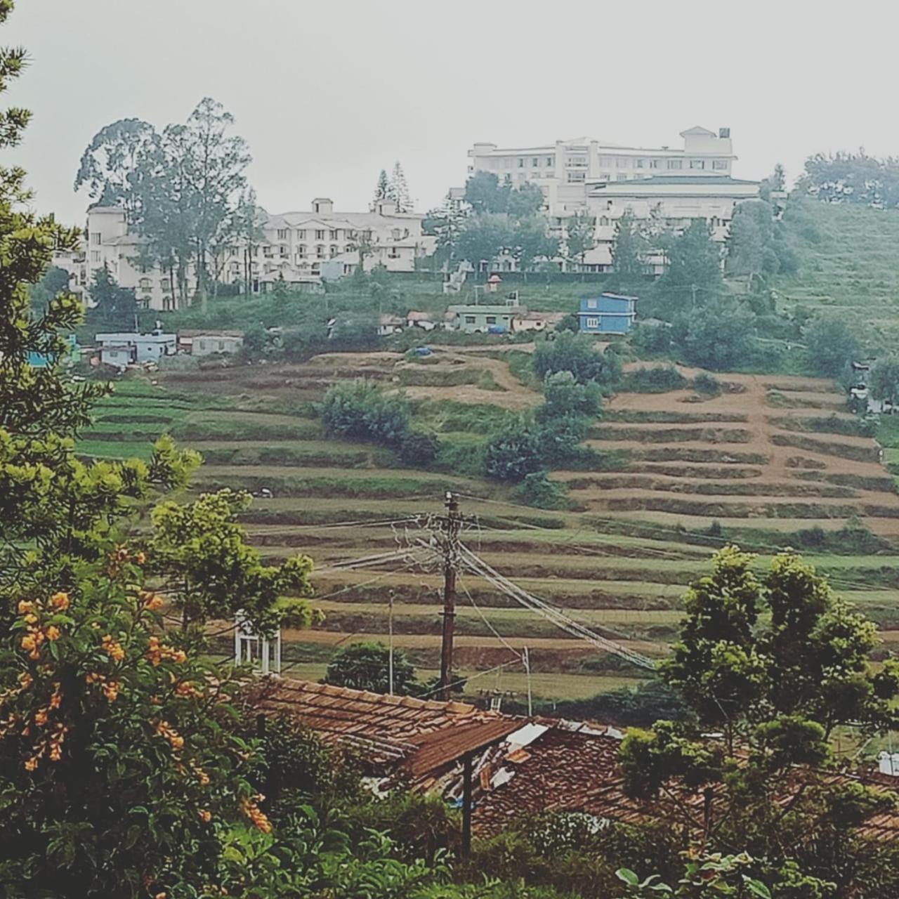 أوتي Albisville Hilltop Mansion المظهر الخارجي الصورة